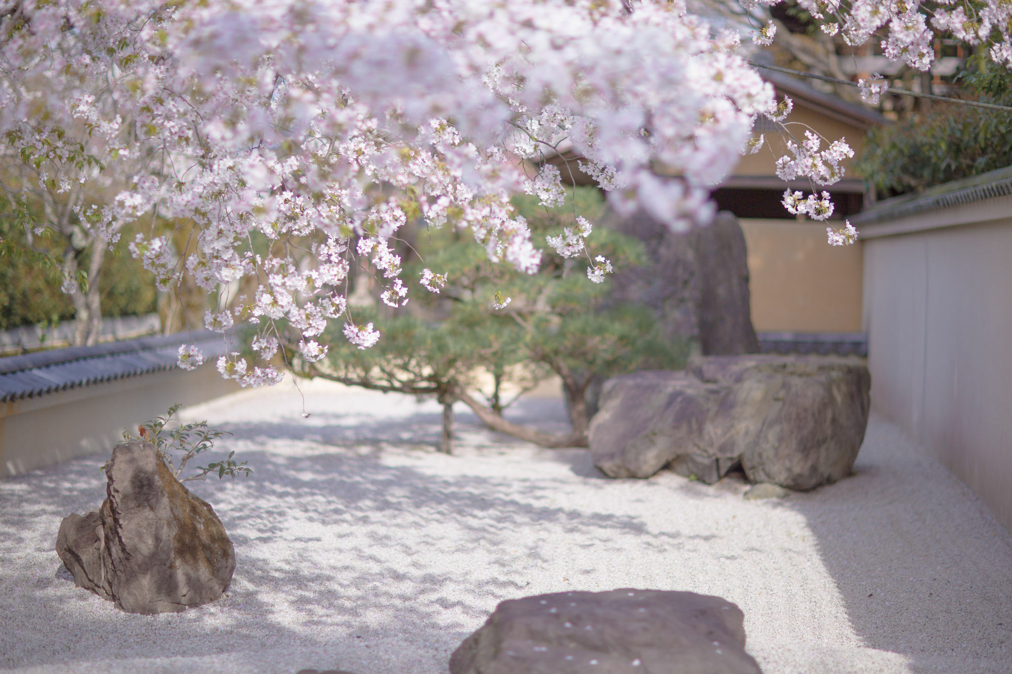 Kyoto Fushimi Ohana Muko Экстерьер фото